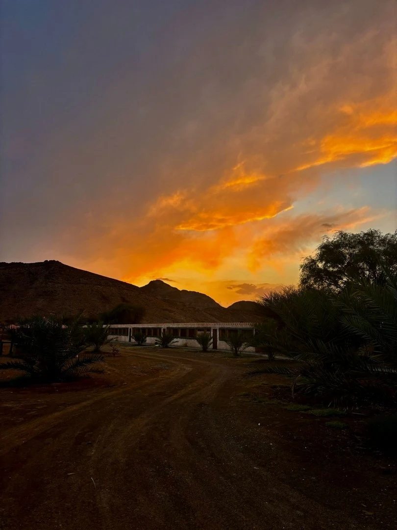 First light over the palms and mountains