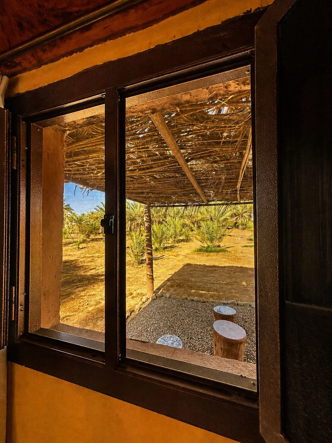 Looking out from a bungalow window to the shaded gardens